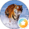 Aries Kuah Quan Chao Avatar